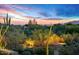Landscaped yard with beautiful desert plants and a mountain backdrop at 39810 N 105Th Way # 128, Scottsdale, AZ 85262