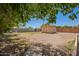 Large, empty backyard featuring a shed and mature trees at 4349 W Morten Ave, Glendale, AZ 85301