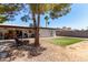 Expansive backyard with artificial turf, patio seating, desert landscaping, and shade tree at 8111 E Jerome Ave, Mesa, AZ 85209