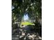 Lush green community park with mature trees, walking paths, and benches, perfect for relaxation and recreation at 21166 W Main St, Buckeye, AZ 85396