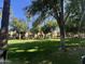 Expansive green space surrounded by trees and homes offers a serene environment at 21166 W Main St, Buckeye, AZ 85396