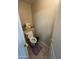 This powder room includes a standard toilet, and a small rug on ceramic tile at 21166 W Main St, Buckeye, AZ 85396