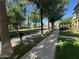 Quiet street view showcasing well-maintained lawns and sidewalks lined with mature trees at 21166 W Main St, Buckeye, AZ 85396