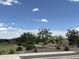 Community playground with slides and greenery, offering a fun recreational area for children at 24327 N 163Rd Dr, Surprise, AZ 85387