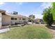 Large backyard with green grass, patio, outdoor seating and mature trees provides outdoor living and entertaining at 2902 E Corrine Dr, Phoenix, AZ 85032