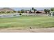 Scenic golf course view featuring a tranquil pond, lush green grass, and clear water at 365 E Mountain View Rd, San Tan Valley, AZ 85143