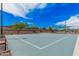 A well-maintained blue basketball court nestled in the community, surrounded by lush landscaping under a bright sky at 3907 E Archer Dr, San Tan Valley, AZ 85140
