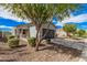 Landscaped front yard with mature trees, leading to a charming single-story home with a two-car garage at 3907 E Archer Dr, San Tan Valley, AZ 85140