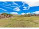 Expansive green space with mature trees, landscaping, and walking trails in a vibrant community at 3907 E Archer Dr, San Tan Valley, AZ 85140