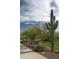 Lush desert landscaping featuring mature Saguaro cactus and native plants add curb appeal to this beautiful home at 40741 N Citrus Canyon Trl, Anthem, AZ 85086