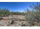 Undeveloped desert land features indigenous bushes and vegetation at 40741 N Citrus Canyon Trl, Anthem, AZ 85086