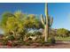 Lush desert landscape with a towering saguaro cactus and flowering plants at 40741 N Citrus Canyon Trl, Anthem, AZ 85086