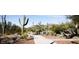 Concrete walking path lined with various species of native desert vegetation at 40741 N Citrus Canyon Trl, Anthem, AZ 85086