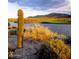 Scenic pond with a single saguaro cactus in the foreground and mountains in the distance at 40741 N Citrus Canyon Trl, Anthem, AZ 85086
