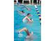Outdoor pool offering a refreshing experience for swimming laps and recreational activities at 40741 N Citrus Canyon Trl, Anthem, AZ 85086