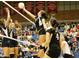 Exciting indoor volleyball game with players in action, showcasing athletic skill and teamwork at 40741 N Citrus Canyon Trl, Anthem, AZ 85086