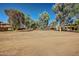 An expansive open area within the community featuring mature trees and desert landscape at 4218 S 46Th Pl, Phoenix, AZ 85040