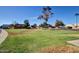 Community green space provides a tranquil environment with mature trees and landscaping at 4218 S 46Th Pl, Phoenix, AZ 85040