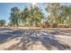 Street view of the community showcasing mature trees and well-maintained landscaping at 4218 S 46Th Pl, Phoenix, AZ 85040