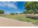 Expansive community green space with mature trees and walking paths, perfect for recreation and relaxation at 620 N Entrada St, Chandler, AZ 85226
