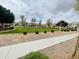 Beautiful community green space featuring expansive lawns and desert landscaping at 7734 W Terri Lee Dr, Phoenix, AZ 85035