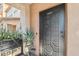 Close-up of an ornate front door with a security screen, set amidst lush potted plants at 7734 W Terri Lee Dr, Phoenix, AZ 85035