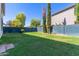 Expansive grassy backyard with a dark blue block fence, offering privacy and space for outdoor activities at 15324 W Windsor Ave, Goodyear, AZ 85395