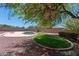 Tranquil backyard oasis featuring a refreshing pool, lush greenery, and shade from mature trees at 2036 S Reseda Ct, Gilbert, AZ 85295