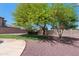 Backyard featuring grass, decorative rock, a privacy fence and mature trees at 2036 S Reseda Ct, Gilbert, AZ 85295