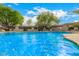 Large community pool with a clear blue water and surrounding lounge chairs and umbrellas at 2051 W Elm St, Phoenix, AZ 85015