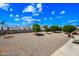 Gravel backyard with mature shade trees, offering a serene and private space at 3160 E Main St # 110, Mesa, AZ 85213