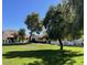 Well-maintained front yard with lush green grass and mature trees at 3535 W Monte Cristo Ave # 129, Phoenix, AZ 85053