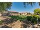 Backyard showing a large green lawn, flowers, trees, and back of house at 7425 W Caro Rd, Glendale, AZ 85308