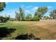 Spacious backyard featuring lush green grass, mature trees and landscaping, perfect for outdoor activities at 8637 E Appaloosa Trl, Scottsdale, AZ 85258