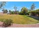 Expansive backyard featuring a lush green lawn and mature trees, perfect for outdoor activities at 8637 E Appaloosa Trl, Scottsdale, AZ 85258