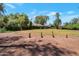 Large backyard with a lawn area, mature trees, and desert vegetation at 8637 E Appaloosa Trl, Scottsdale, AZ 85258