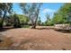 Large dirt backyard features mature trees, cactus and other desert vegetation at 8637 E Appaloosa Trl, Scottsdale, AZ 85258