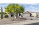 Charming single-story home with a flowering desert tree, a well-maintained yard, and a welcoming entryway at 9826 W Tonto Ln, Peoria, AZ 85382