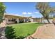 A backyard view features a lush green lawn, covered patio, and mature tree with swing at 14821 N 42Nd St, Phoenix, AZ 85032