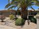 Charming single-story home with a mature palm tree, lush landscaping, and a two-car garage at 19058 N Aztec Point Dr, Surprise, AZ 85387