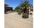 Well-manicured front yard with desert landscaping, decorative rocks, and mature palm trees at 19058 N Aztec Point Dr, Surprise, AZ 85387