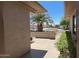 Well-maintained front yard landscaping with a mature palm tree and street view at 19058 N Aztec Point Dr, Surprise, AZ 85387