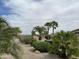 Beautiful landscaping with gravel and several palm trees enhancing the exterior appeal of the home at 19058 N Aztec Point Dr, Surprise, AZ 85387