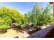 View of shady green backyard with walkway and mature trees at 1942 S Emerson -- # 219, Mesa, AZ 85210