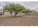 Spacious gravel backyard featuring mature trees and block wall for privacy at 2021 W Clarendon Ave, Phoenix, AZ 85015
