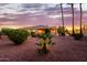 Backyard showcasing lush landscaping, desert plants and a gorgeous sunset at 22318 N Pico Ct, Sun City West, AZ 85375