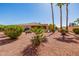 Expansive backyard featuring desert landscaping, mature trees, and a covered patio for serene outdoor living at 22318 N Pico Ct, Sun City West, AZ 85375