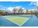 Outdoor pickleball court surrounded by mesh fencing, ready for recreational play at 22318 N Pico Ct, Sun City West, AZ 85375