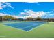 Inviting tennis courts featuring professional surface, nets, and shaded benches for relaxing after the game at 22318 N Pico Ct, Sun City West, AZ 85375