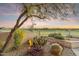 Scenic back yard features desert landscaping, golf course access, and beautiful sunset views at 25150 N Windy Walk Dr # 37, Scottsdale, AZ 85255